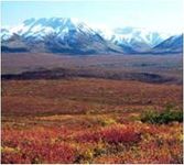 What do you know about the Tundra? What do you know about the Tundra?