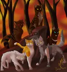Do the Dark Forest cats like you? Do the Dark Forest cats like you?