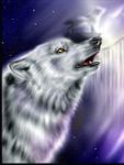 Are You A Werewolf Or a Vampire Are You A Werewolf Or a Vampire