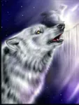 Are You A Werewolf Or a Vampire Are You A Werewolf Or a Vampire