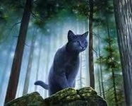 What Are You In a Warrior Cat Clan What Are You In a Warrior Cat Clan