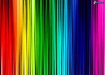 what color are you? (11) what color are you? (11)