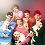 How Well Do You Know One Direction? (4) How Well Do You Know One Direction? (4)