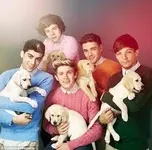 How Well Do You Know One Direction? (4) How Well Do You Know One Direction? (4)