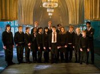 The Harry Potter Trivia! The Harry Potter Trivia!
