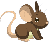 Do you truly know Transformice? Do you truly know Transformice?