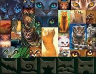 Are you a true warrior cats fan? Are you a true warrior cats fan?