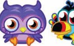 What Birdie are you? What Birdie are you?