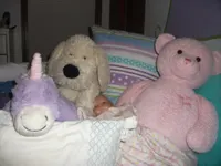 do you love teddy bears! do you love teddy bears!