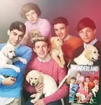 One Direction Trivia (1) One Direction Trivia (1)