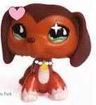 What character from lps popular are you? What character from lps popular are you?