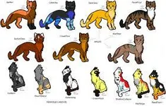 What is your warrior cat name? (4) What is your warrior cat name? (4)