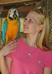 Know your Bird Personas Know your Bird Personas