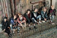 Bts A . R . M . Y Beginner's Quiz Bts A . R . M . Y Beginner's Quiz
