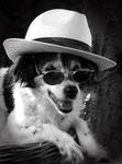 How cool are you? How cool are you?