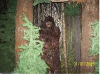 Big foot Big foot