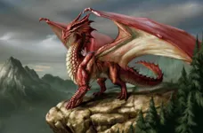 the DRAGON quiz (1) the DRAGON quiz (1)