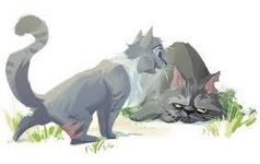Do you have what it takes to be a Warrior Cats Medicine Cat? Do you have what it takes to be a Warrior Cats Medicine Cat?