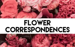 Flower Correspondences Flower Correspondences