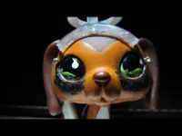 How much do you know about lps popular? How much do you know about lps popular?