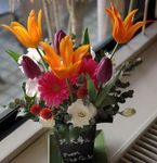 What flower are you? (2) What flower are you? (2)