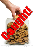 FRAUD FRAUD