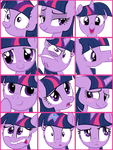 Twilight Sparkle Pop Quiz Twilight Sparkle Pop Quiz