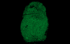 The Mole: Quiz 1 The Mole: Quiz 1