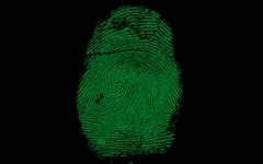 The Mole: Quiz 1 The Mole: Quiz 1