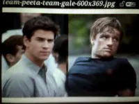 Gale or Peeta Gale or Peeta