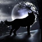 What branch of animal are you? What branch of animal are you?