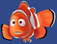 It Is A Fish!! It Is A Fish!!