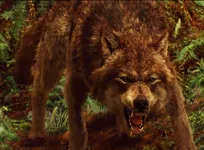 Would you be a Wizard, vampire or a werewolf? Would you be a Wizard, vampire or a werewolf?