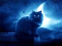 what is your inner warrior cat? what is your inner warrior cat?