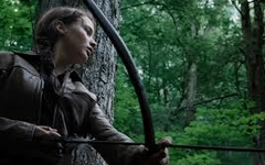 The Hardest Hunger Games Quiz Ever!!!! The Hardest Hunger Games Quiz Ever!!!!