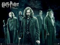 Which character are you from the magical world of harry potter? Which character are you from the magical world of harry potter?