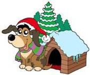 what pet would be best for you? what pet would be best for you?