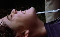 The Outsiders which gang The Outsiders which gang