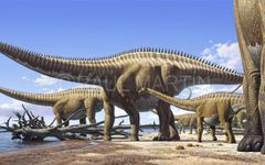 What dinosaur are you? (2) What dinosaur are you? (2)