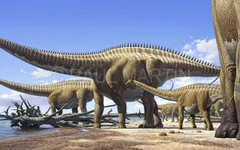 What dinosaur are you? (2) What dinosaur are you? (2)