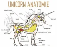 Discover Your Inner Unicorn Discover Your Inner Unicorn