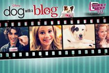 Which Dog with a blog Character are you? Which Dog with a blog Character are you?