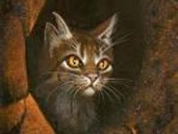 How well do you know Tigerstar? How well do you know Tigerstar?