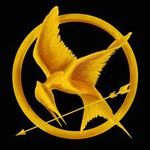 Are you a Hunger Games superfan?? Are you a Hunger Games superfan??