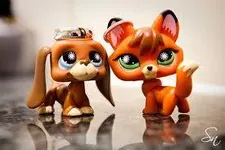 what animal are you? (14) what animal are you? (14)