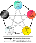 Which element are you from the Wu Xing Which element are you from the Wu Xing