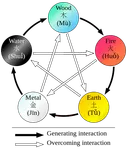 Which element are you from the Wu Xing