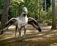 what color hippogriff are you? what color hippogriff are you?