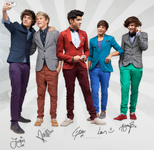 Which One Direction Boy is Right For You? Which One Direction Boy is Right For You?