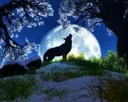 are you an werewolve/wolve (1) are you an werewolve/wolve (1)